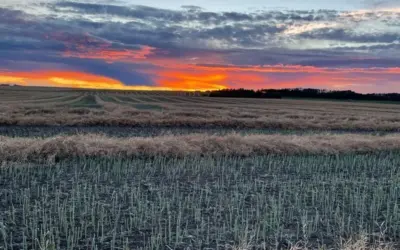 Five Reasons to Consider Looking at Rural Properties for Sale in Dawson Creek